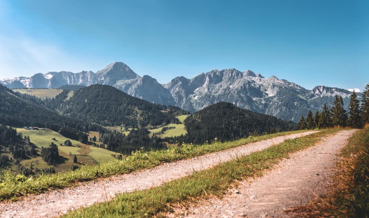 Gaestehaus Eder Sankt Martin am Tennengebirge Exterior foto
